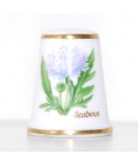 Gwiazdnik