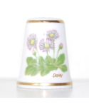 Daisy