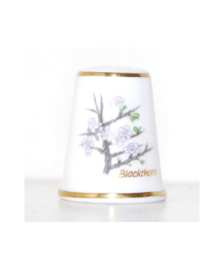Blackthorn