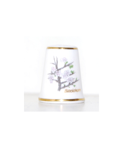 Blackthorn