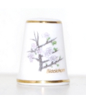 Blackthorn