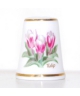 Tulipan