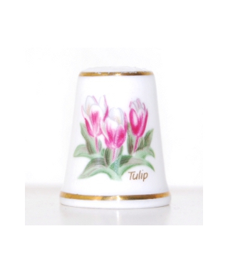 Tulipan