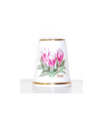Tulipan