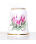 Tulip