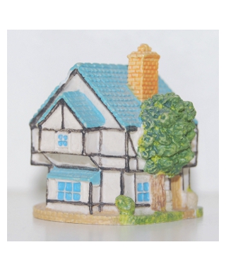 Village shop