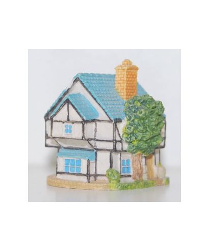 Village shop