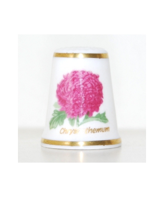 Chrysanthemum