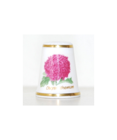 Chrysanthemum