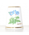 Geranium