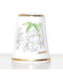 Jasmine