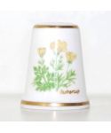 Buttercup