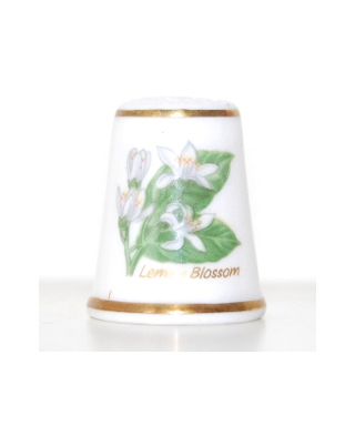 Lemon blossom