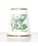 Lemon blossom