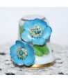 Blue flowers