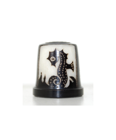 Tagua konik morski