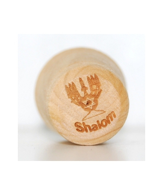 Menorah shalom