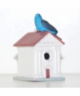 Purple martin