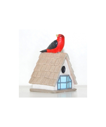 Vermilion flycatcher
