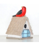 Vermilion flycatcher