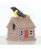 Baltimore oriole