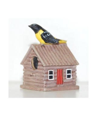 Baltimore oriole