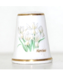 Narcissus II