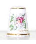 Apple blossom