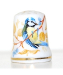 Blue tit from Thierry de Marichalar