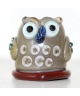 Oliver little owl