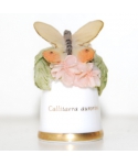 Callitaera aurorina