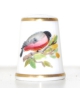 Bullfinch - Janet Collins