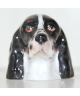 Czarny English Springer Spaniel (K Taylor)