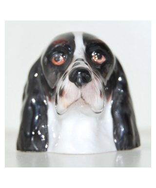 Czarny English Springer Spaniel (K Taylor)