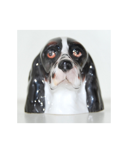 Czarny English Springer Spaniel (K Taylor)