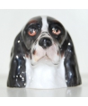 Black English Springer Spaniel (K Taylor)