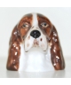 Brown English Springer Spaniel (K Taylor)