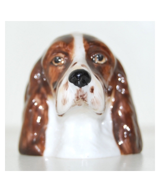 Brązowy English Springer Spaniel (K Taylor)