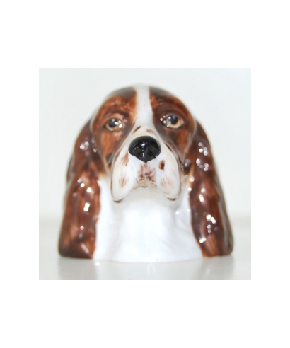 Brown English Springer Spaniel (K Taylor)