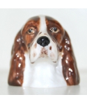 Brown English Springer Spaniel (K Taylor)