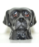Czarny Labrador (K Taylor)