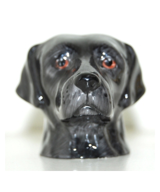 Czarny Labrador (K Taylor)