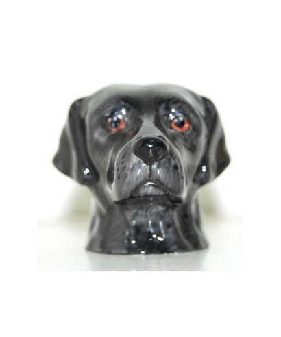 Czarny Labrador (K Taylor)