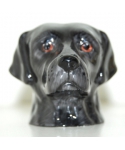 Czarny Labrador (K Taylor)