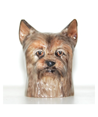 Yorkshire terrier (K Taylor)
