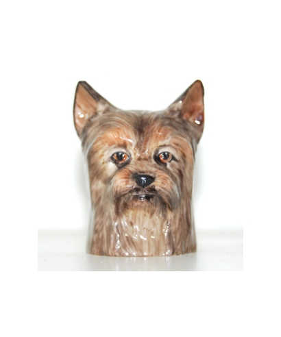 Yorkshire terrier (K Taylor)