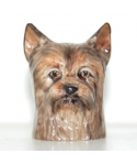 Yorkshire terrier (K Taylor)