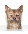 Yorkshire terrier (K Taylor)
