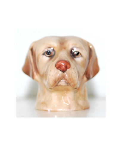 Yellow labrador (K Taylor)