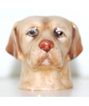 Yellow Labrador (K Taylor)